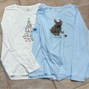 TWO J. Crew 100% Cotton Collector Tees, L 🎄